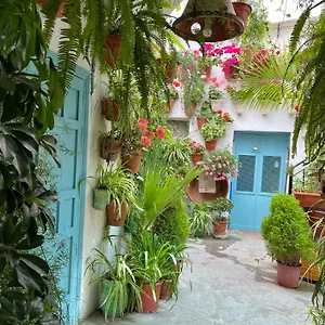 Apartamento La Muralla Vejer de la Frontera